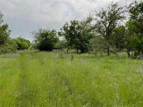 1024 Goodnight Trail - Photo 13