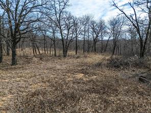 Lot 59 TBD Cimmarron Bay Drive - Photo 3
