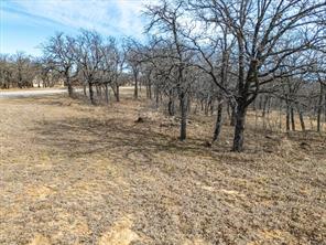 Lot 59 TBD Cimmarron Bay Drive - Photo 4