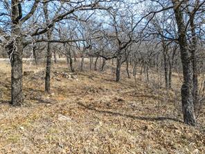 Lot 59 TBD Cimmarron Bay Drive - Photo 9