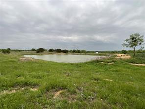 1009 Goodnight Trail - Photo 10