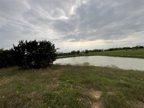 1009 Goodnight Trail - Photo 11