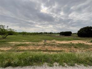 1009 Goodnight Trail - Photo 8
