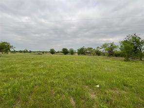 1009 Goodnight Trail - Photo 9