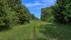 500 Starkey Ranch Rd - Photo 10