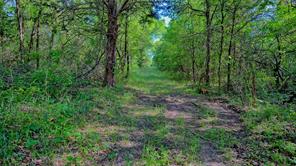 500 Starkey Ranch Rd - Photo 11