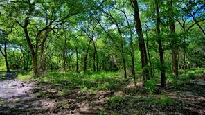 500 Starkey Ranch Rd - Photo 13