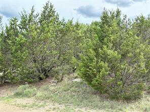 Lot 7 Glen Abbey Drive S - Photo 27