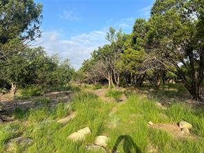 1081 Creek Crossing Road - Photo 6