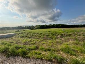 TBD Hill Creek Lane - Photo 4