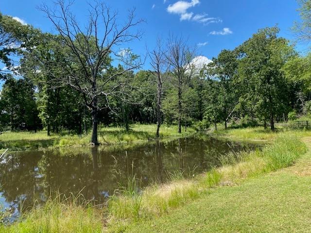 610 Old Tyler Highway - Photo 1