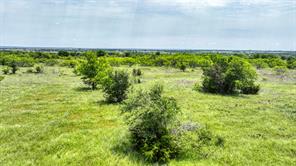 1036 Goodnight Trail - Photo 3