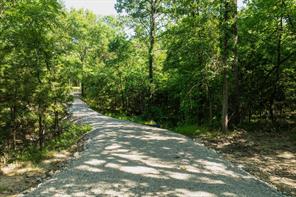 2112 Red Cedar Trail - Photo 6