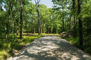 2112 Red Cedar Trail - Photo 8