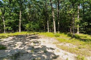 2112 Red Cedar Trail - Photo 9