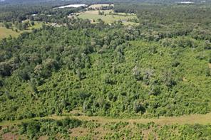 TBD-D County Road 4021 - Photo 4