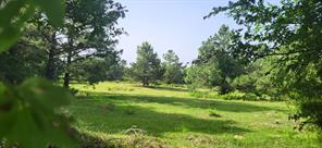 TBD CR 1176 - Photo 2