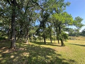 3220 Randell Lake Road - Photo 14