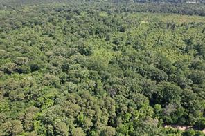 TBD-E County Road 4021 - Photo 3
