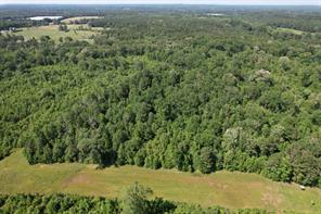 TBD-E County Road 4021 - Photo 4