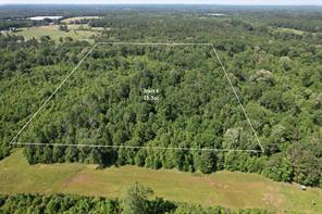 TBD-E County Road 4021 - Photo 5