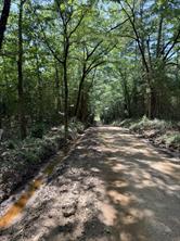 TBD-F County Road 4021 - Photo 6