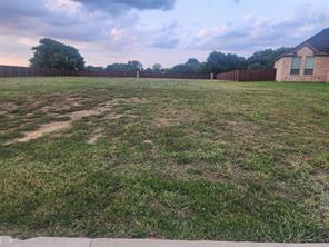 124 Chisolm Trail - Photo 11