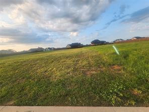 124 Chisolm Trail - Photo 8