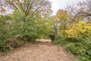 409 Rocky Ridge Terrace - Photo 10