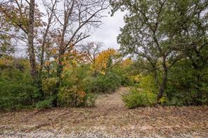 409 Rocky Ridge Terrace - Photo 11