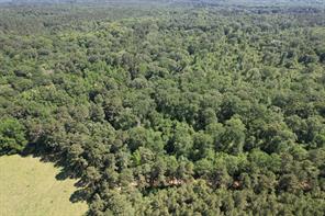 TBD-G County Road 4021 - Photo 3