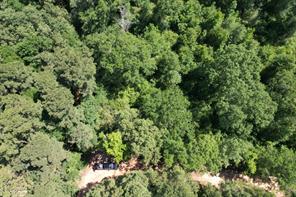 TBD-G County Road 4021 - Photo 4
