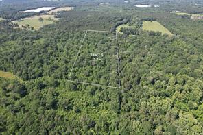 TBD-G County Road 4021 - Photo 5