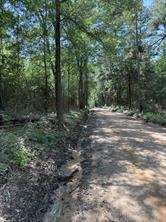 TBD-G County Road 4021 - Photo 6