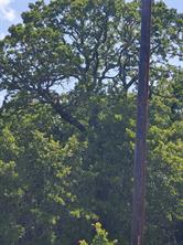 Lot 649 Horizon Ridge - Photo 10