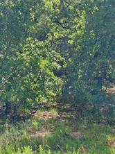 Lot 649 Horizon Ridge - Photo 11