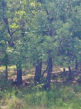 Lot 649 Horizon Ridge - Photo 12