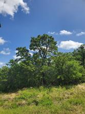 Lot 649 Horizon Ridge - Photo 2