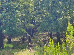 Lot 649 Horizon Ridge - Photo 3