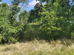 Lot 649 Horizon Ridge - Photo 5