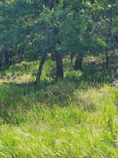 Lot 649 Horizon Ridge - Photo 6
