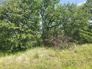 Lot 649 Horizon Ridge - Photo 7