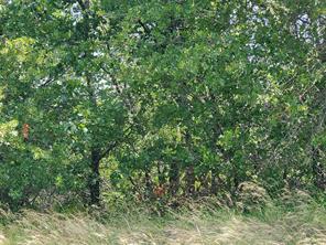 Lot 649 Horizon Ridge - Photo 8
