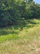Lot 649 Horizon Ridge - Photo 9
