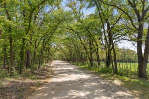 8016 E US HWY 82 - Photo 23