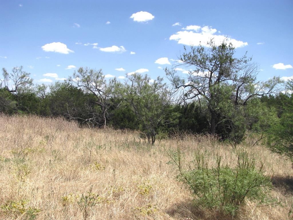 TBD-Lot 23 Ph 1 PR4218 - Photo 10