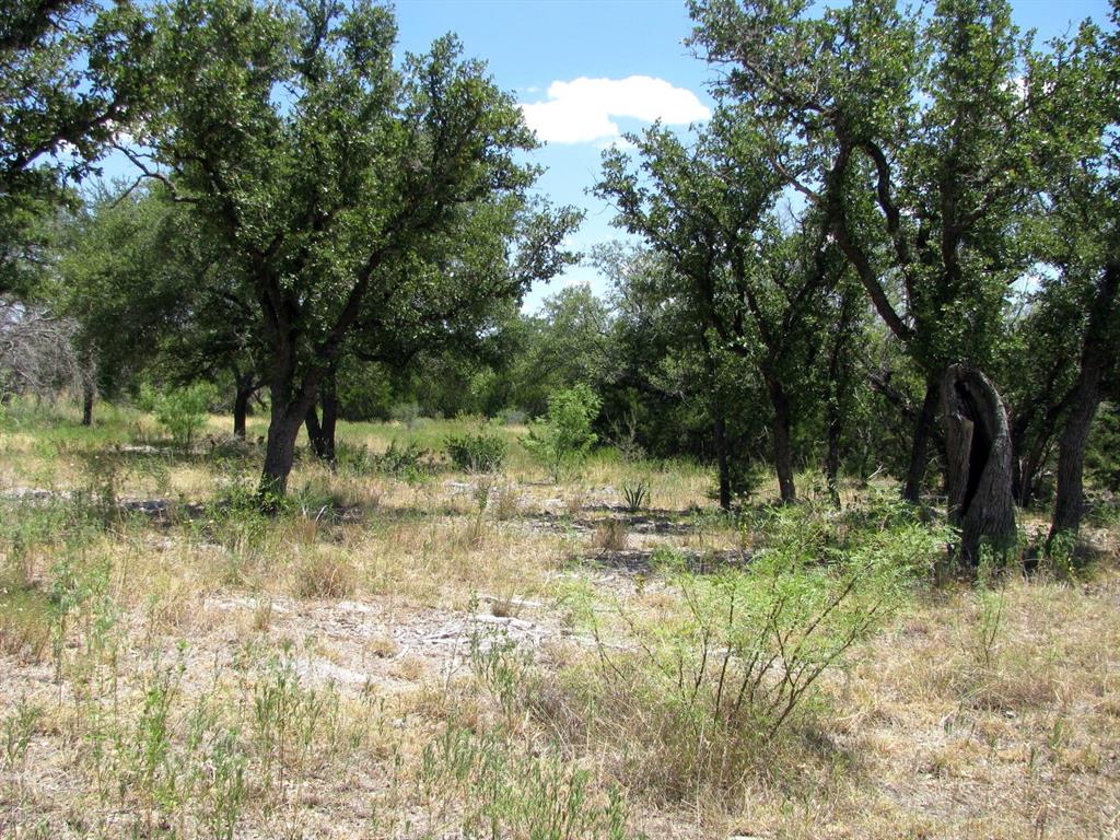 TBD-Lot 23 Ph 1 PR4218 - Photo 4
