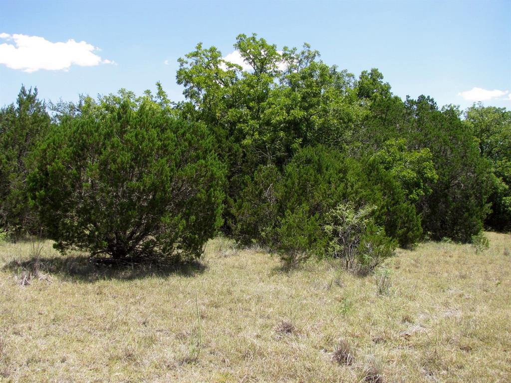 TBD-Lot 23 Ph 1 PR4218 - Photo 7