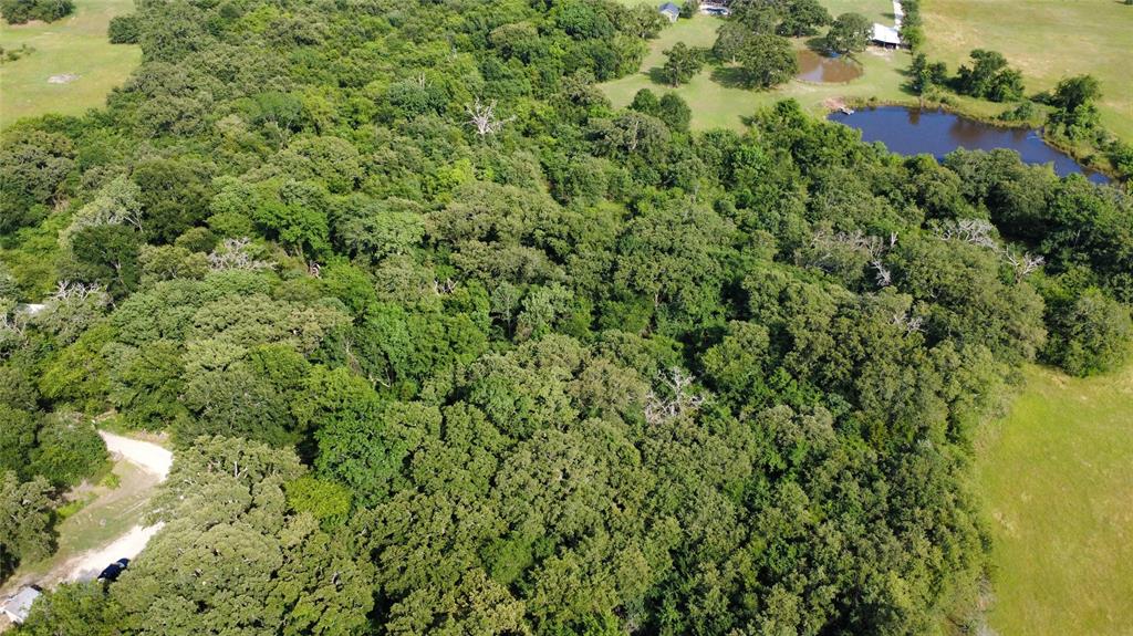 TBD 1.9 Acres Lot 36 - Photo 6
