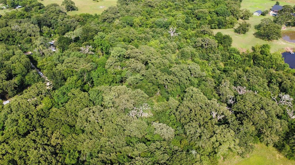 TBD 1.9 Acres Lot 36 - Photo 9